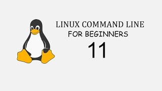 Linux Command Line For Beginners 11  echo command [upl. by Llehcear161]