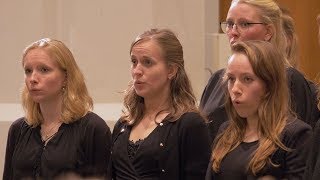 Wandrers Nachtlied – Diepenbrock  Utrechts Studenten Koor en Orkest olv Gilles Michels [upl. by Lewej183]