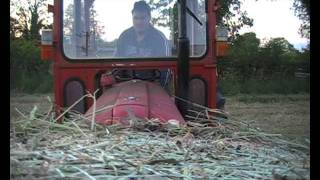 MF 35X Shifting Bales [upl. by Perkins397]