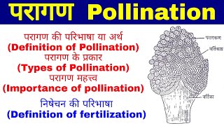 परागणPollination परागण के प्रकारTypes of Pollination परागण महत्त्व importance of pollination [upl. by Coleen852]