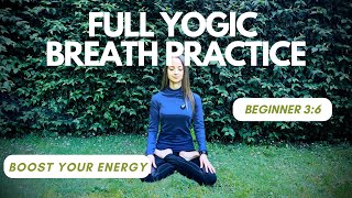 Full Yogic Breath Practice  Beginner 36  Dirga Pranayama  Three Part Breath  Breathwork [upl. by Ermine]