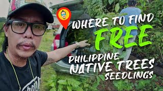 FREE Philippine Native Tree Seedlings [upl. by Kosak]