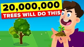 Planting 20000000 Trees Will Actually Have This Impact [upl. by Nicodemus942]