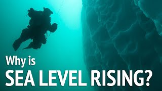 How Arctic Ice Melting Leads To Sea Level Rise [upl. by Gurias563]