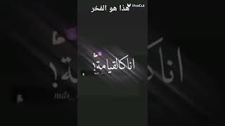 ٢٦ أكتوبر ٢٠٢٤ [upl. by Diarmid]