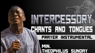 Theophilus Sunday  Intercessory Chants amp Tongues  One Hour Loop Prayer Instrumental [upl. by Slifka]