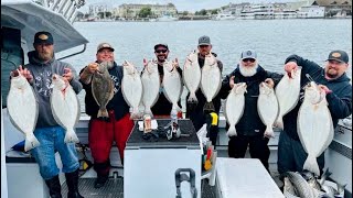 Halibut King Derby 2023 [upl. by Hluchy]