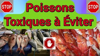 Attention  Ces 7 Poissons Riches en Toxines Sont Dangereux pour Votre Santé [upl. by Skipp]