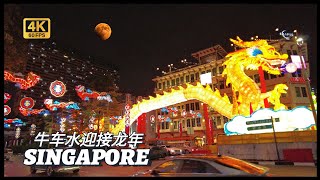 Singapore Chinatown CNY 2024 Dragon LightUp chinatown singapore travel [upl. by Eizeerb249]