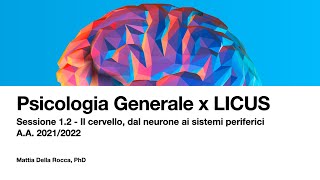 Dal neurone alla sinapsi Psicologia Generale x LICUS 20212022 [upl. by Arnold]