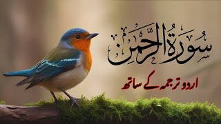 Surah Rehman Full  Qari Abdul Basit  Surah Rehman Ki Tilawat  Surah Rehman By Qari Basit 007 [upl. by Nnad29]