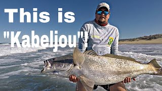 AUSTRALIAN MULLOWAY is what we CALL KOB IN SOUTH AFRICA and they ARE BIG Fishing for the FUTURE [upl. by Davita]