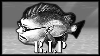 RIP Kempy Bass  Hungry shark Memes [upl. by Herb]