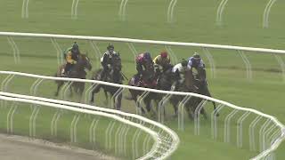 Heat 7 Doomben Jumpouts 1009 [upl. by Adabelle]