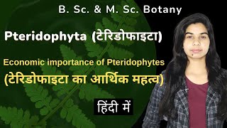 Pteridophyta  Economic importance of Pteridophytes टेरिडोफाइटा का आर्थिक महत्व  हिंदी में [upl. by Chev]