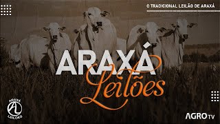 ARAXÁ LEILÕES AO VIVO  ARAXÁ MG [upl. by Eiro439]