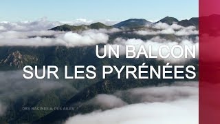 Un balcon sur les Pyrénées  Émission intégrale [upl. by Ahsele]