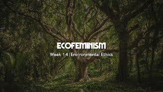 Environmental Ethics  Plumwoods Ecofeminism [upl. by Mclain]