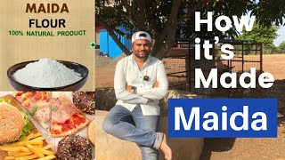 Maida  How its Made   मैदा कैसे बनता है  Refined wheat Flour  Farming Engineer [upl. by Kaehpos]