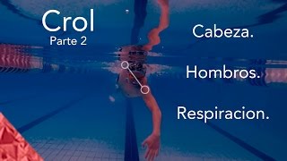 Como nadar estilo crol correctamente Natacion libre Respiracion y hombros [upl. by Terri]