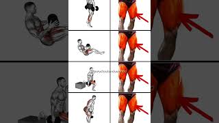 Transform Your Legs Best Dumbbell Leg Workouts for Strength amp Tone [upl. by Buckden]