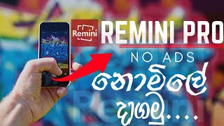 How to Remini Pro Download for free in sri lankasinhala [upl. by Nafis541]