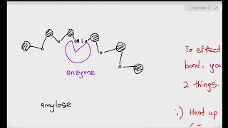 31 An Introduction to enzymes Cambridge AS A Level Biology 9700 [upl. by Anawt373]