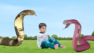 saamp wala video  snake video  short movie [upl. by Giustino]