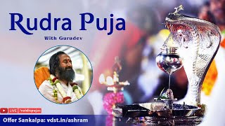 Rudra Puja  18 Nov 2024  Live From VDS Bangalore Ashram [upl. by Elkcim]