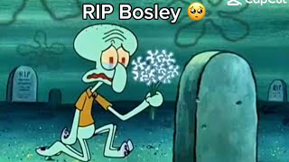 RIP Bosley 🥺 [upl. by Malca]