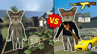 HERMY MOTANUL CEL SARAC VERSUS HERMY MOTANUL CEL BOGAT IN GMOD ROLEPLAY [upl. by Neeruam]