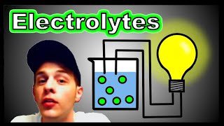 Solubility and Electrolytes [upl. by Bomke]