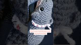 Crochet plushie detailsmake all the difference [upl. by Ailegnave]