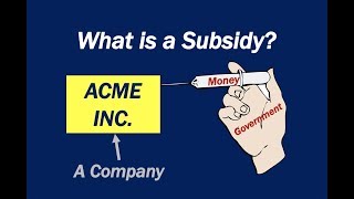 What is a Subsidy [upl. by Jaquith]