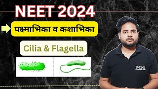 Structure of Cilia and Flagella  पक्ष्माभिका व कशाभिका की संरचना  NEET 2024  Target NEET [upl. by Yahsel]