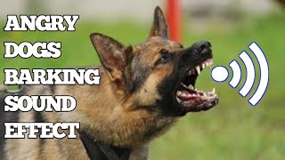 Dog Barking  Dog Barking Sound Effect  Kutte Ki Awaaz [upl. by Palgrave]