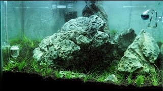 Nano Iwagumi Aquascape quotThe Big Onequot ADA Mini M  Step by Step [upl. by Joashus]