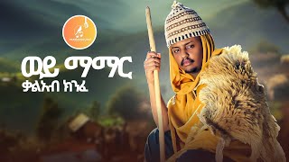 Kal Kin  Wey Mamar  ወይ ማማር  New Ethiopian Music 2024 Official Video [upl. by Ellebasi446]