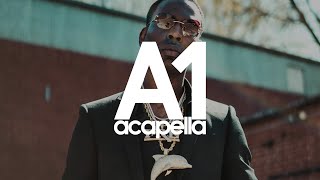 Young Dolph  100 Shots Acapella  Vocals Only 134bpm [upl. by Janyte]