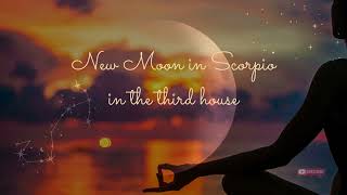 Guided Meditation For the New Moon in Scorpio occurs in the Third House ❤︎ [upl. by Airotel]