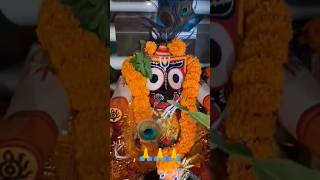 He kalathakur 🙏jagannathbhajan purijagannathtemple badathakura 🙏shortsvideo 👍😍😍😍 [upl. by Accebar305]