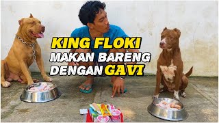 FLOKI amp GAVI‼️MUKBANG AYAM SOSIS ICE CREAM SAMA SUSU [upl. by Fay]