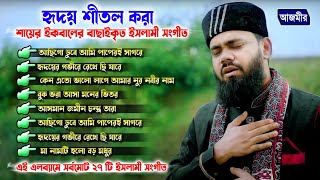 Mashup New Naat হৃদয় শীতল করা শায়ের ইকবালের বাছাইকৃত ইসলামী সংগীত । Shayer iqbal new Mashup naat [upl. by Niattirb]