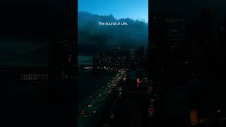 The Sound of Life  City Life  Street Ambience ambientsounds viralshorts [upl. by Areic350]