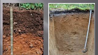 STUDY OF SOILS IN GEOGRAPHY [upl. by Draude]