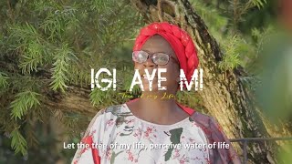 Igi Aye Mi Official Video Bolaji Adebayo [upl. by Philpot]