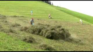 Landwirtschaft in steilen Lagen [upl. by Derman385]