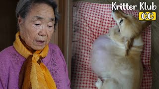 The Touching Story Of A Puppy With A Swollen Belly And A Grandmother I Kritter Klub [upl. by Dicky]