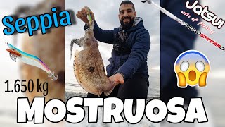 Una SEPPIA MOSTRUOSA A EGING😱🐙 4 catture e molte e slamate Pesca a Trebisacce Jatsui Squid Hunter [upl. by Gracia252]