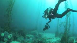 Incredible Technical Diving at Point Lobos Carmel California [upl. by Atnim]